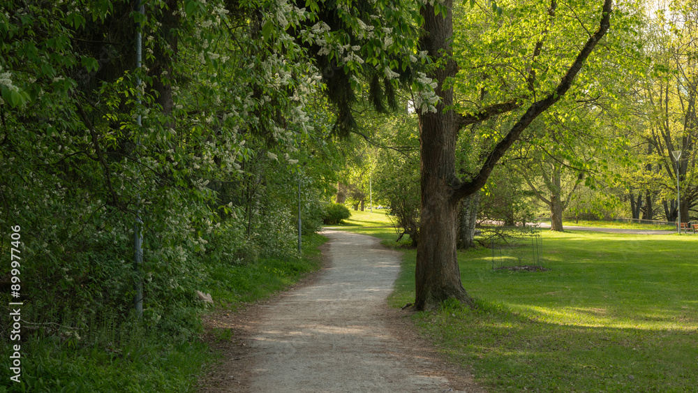 alley in the park alley in the park