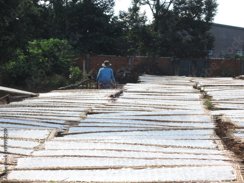 rice noodles production in traditional way and drying out at the sun in small vietnamesse village,Vietnam,Asia,noodle production,traditional,panorama,sun	
 photo