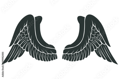 Eagle bird or angel wings vector illustration