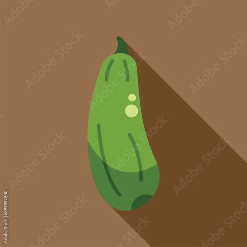 Green zucchini squash lying down with long shadow, simple flat design vegetable illustration