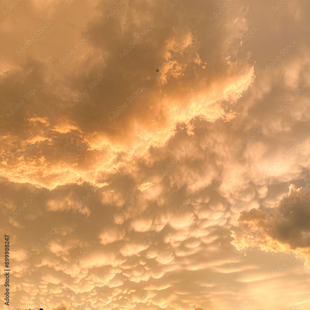 Fototapeta premium rare cloud line