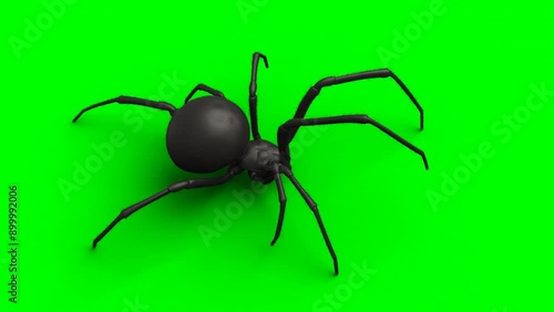 Big spider walk animation loop on green screen, VFX element - 60 fps, 4K Pro Res with mask pass