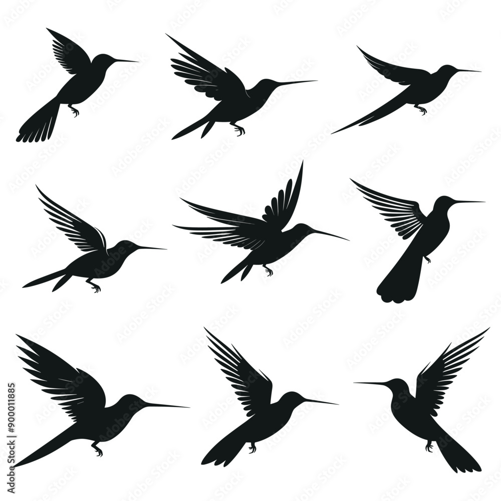 a series of birds with one that has the number 3 on it a series of birds with one that has the number 3 on it