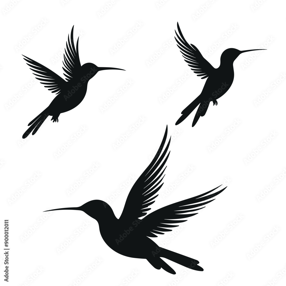 three birds are shown with one that has a black outline. three birds are shown with one that has a black outline.