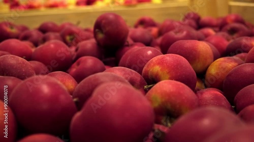 fruit and vegetables