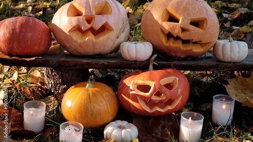 halloween pumpkin and pumpkins