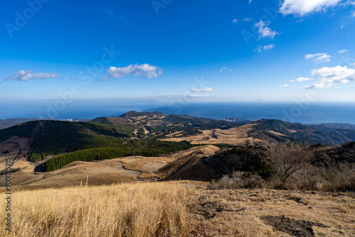 初冬の稲取細野高原