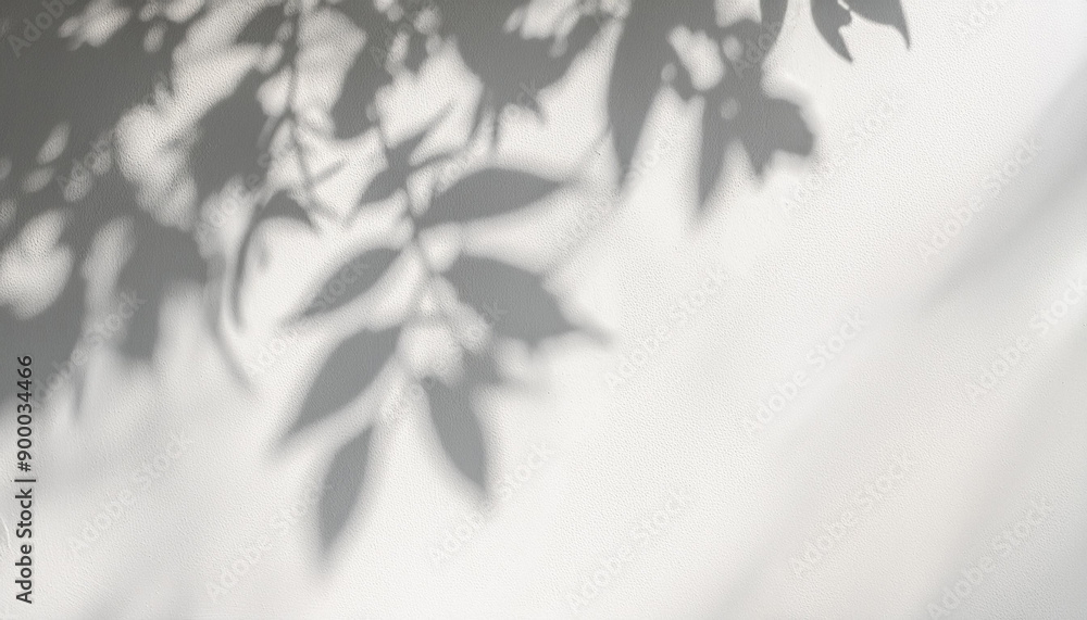Leaves shadow and tree branch background. Natural leaves tree branch dark shadow and light from sunlight dappled on white concrete wall texture for background wallpaper and any design Leaves shadow and tree branch background. Natural leaves tree branch dark shadow and light from sunlight dappled on white concrete wall texture for background wallpaper and any design