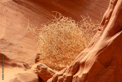 valley state country