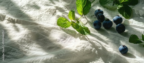 Morning light casts a soft ...