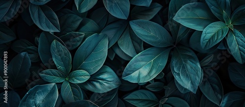 Shadowy background with abstract natural leaves creates a captivating copy space image