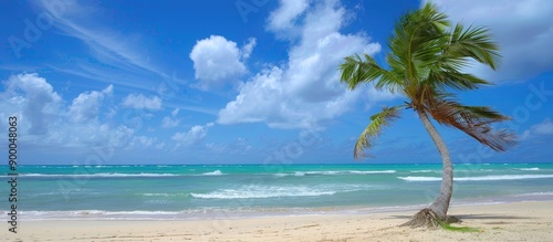 A tropical beach scene with...
