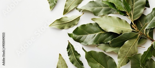 Photo of bay leaves on a wh...