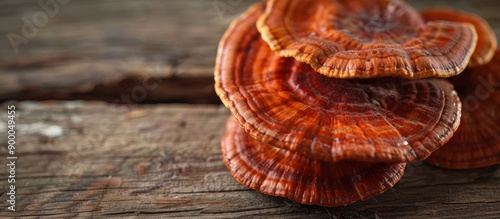 Close up image of Ganoderma lucidum mushroom Ling zhi on a wooden surface with a vacant area for additional visual content or text known as a copy space image photo