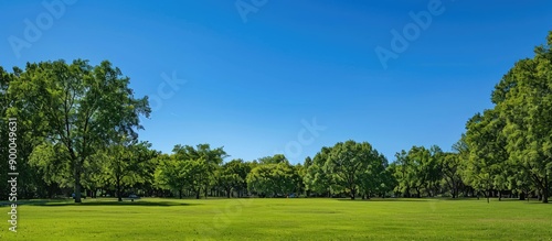 Obraz na płótnie Park under a clear blue summer sky providing a perfect backdrop for a copy space image w salonie