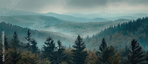Scenic view of forest and m...