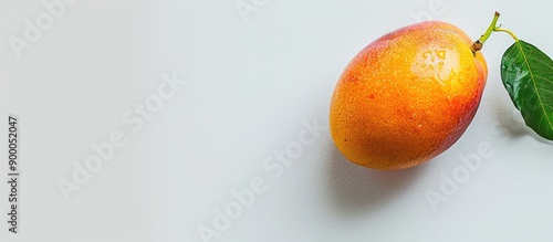Mango displayed on a plain ...