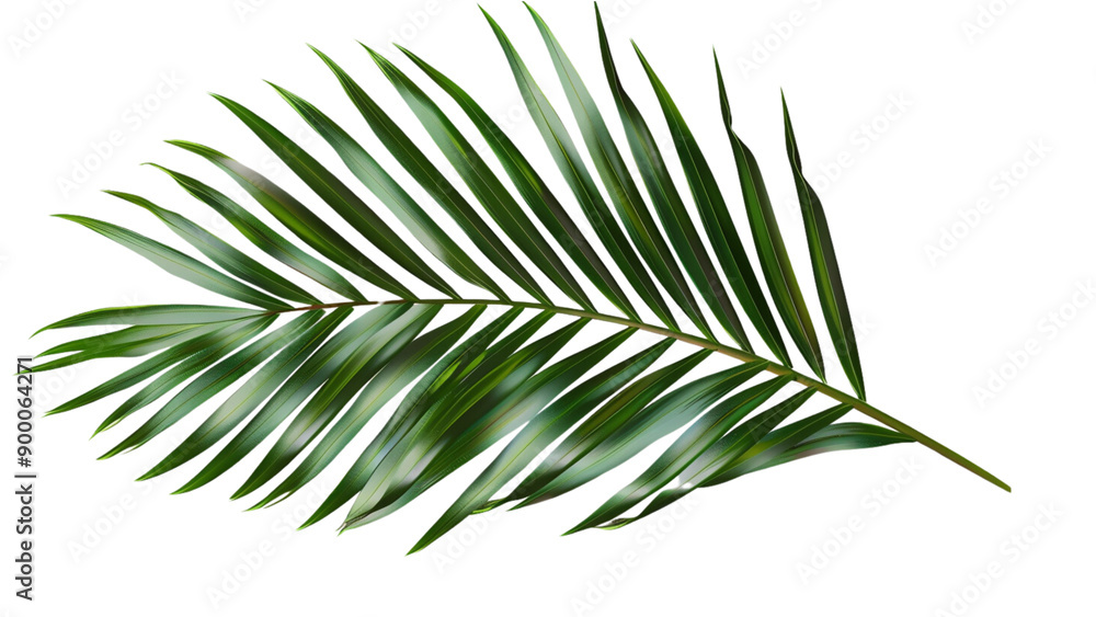 A leafy green plant with a long, thin stem A leafy green plant with a long, thin stem