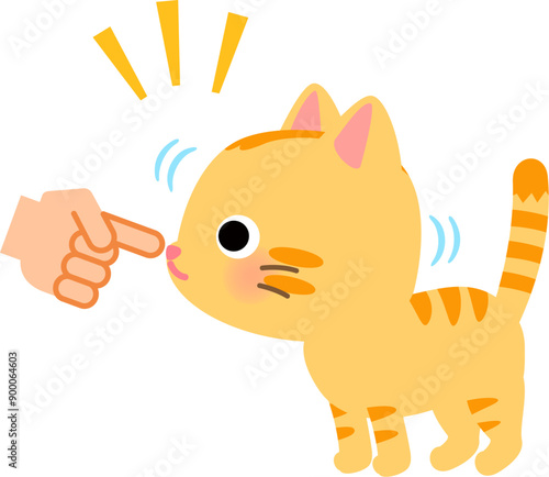 人が差し出した指先の匂いを嗅ぐトラ猫