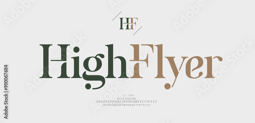 Luxury font alphabet logo. Typography beauty fashion elegant classic letters serif italic fonts decorative wedding vintage retro logos. vector illustration