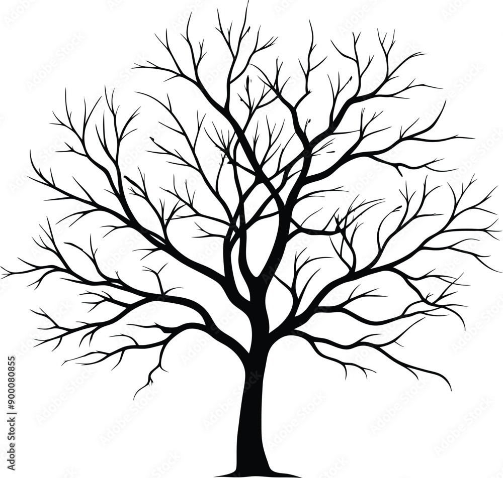 Silhouette of a bare tree Silhouette of a bare tree