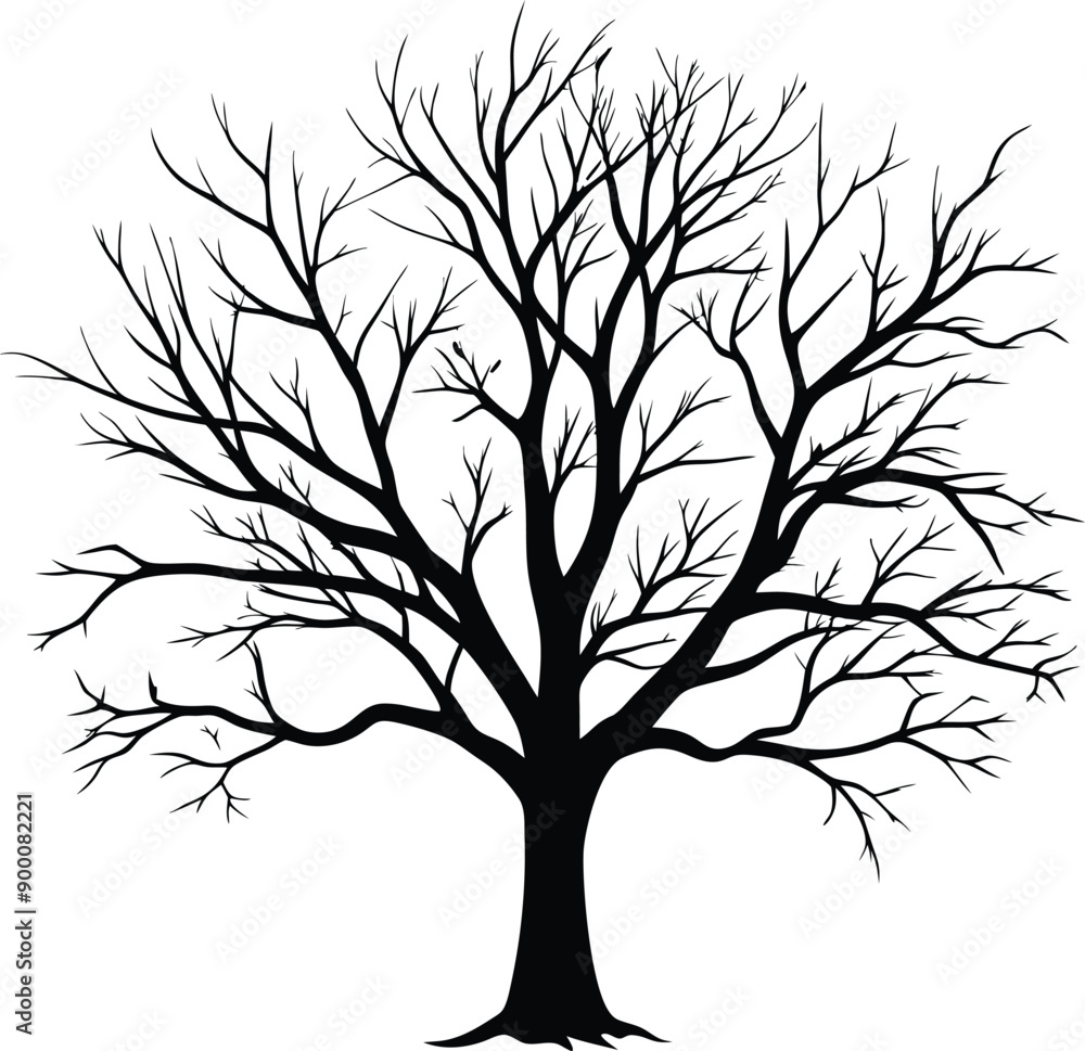 Silhouette of a bare tree Silhouette of a bare tree