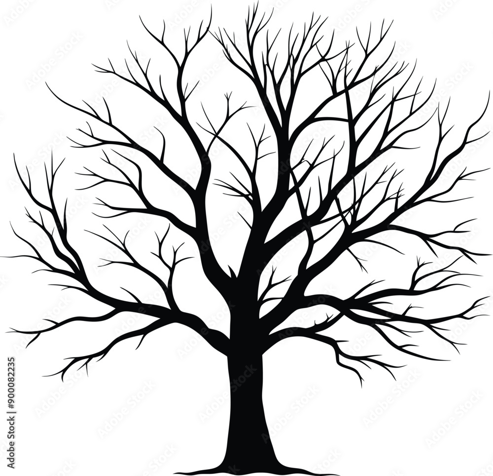 Silhouette of a bare tree Silhouette of a bare tree