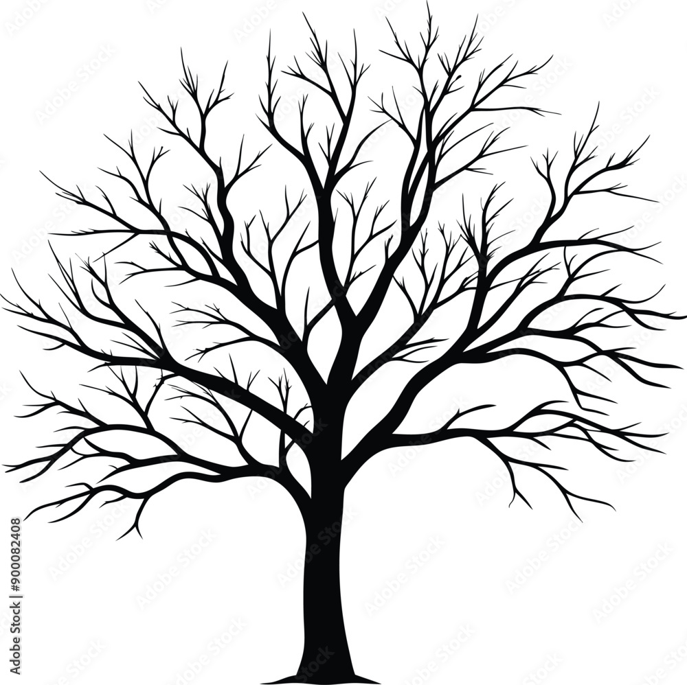 Silhouette of a bare tree Silhouette of a bare tree