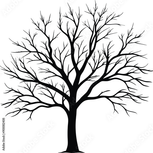 Silhouette of a bare tree