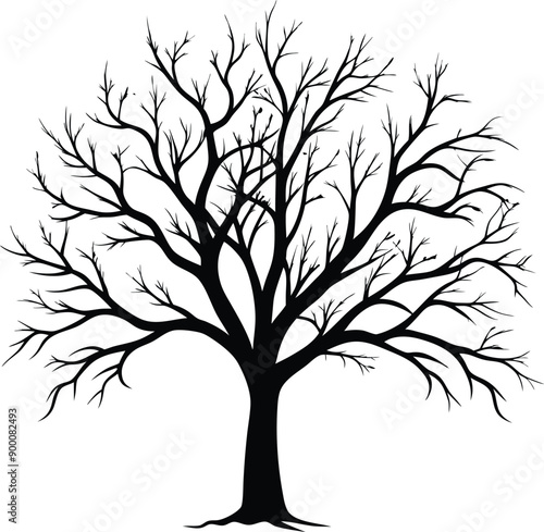 Silhouette of a bare tree