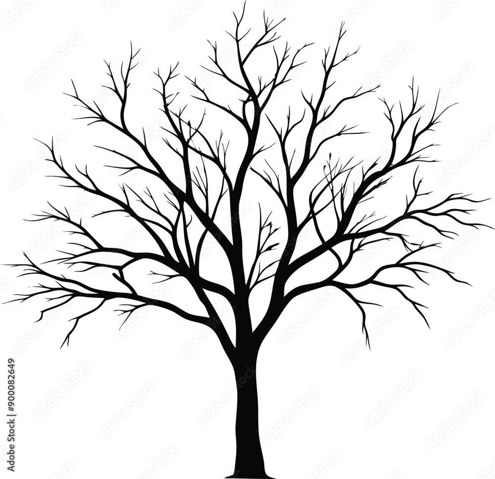 Silhouette of a bare tree Silhouette of a bare tree