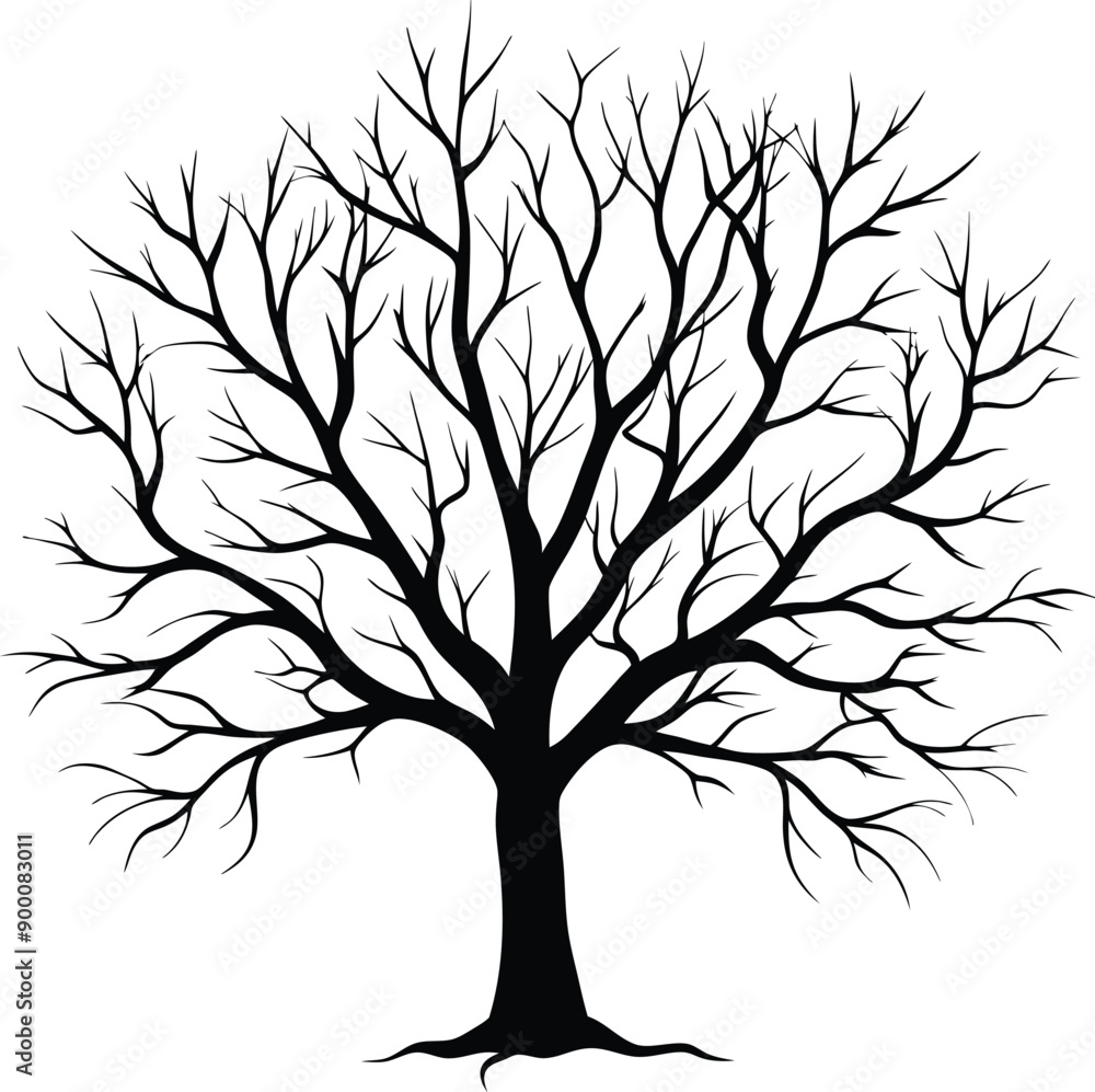 Obraz premium Silhouette of a bare tree