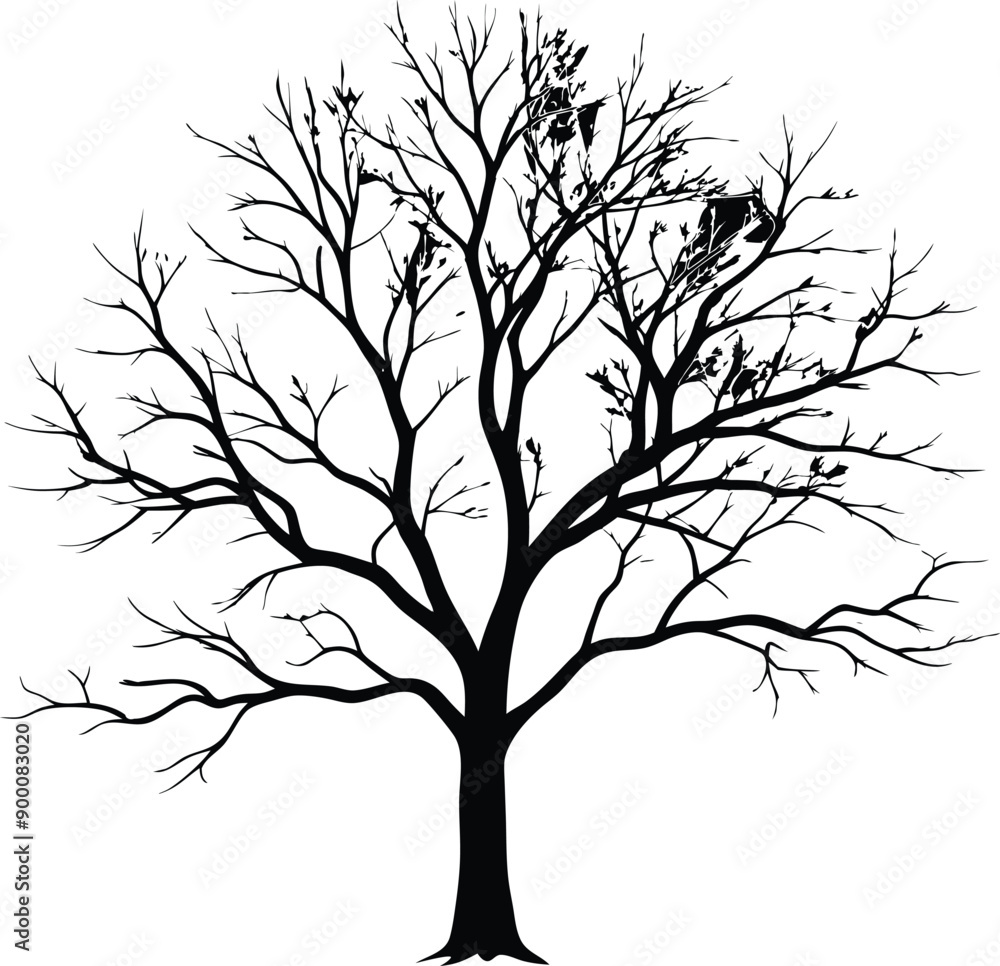 Silhouette of a bare tree Silhouette of a bare tree