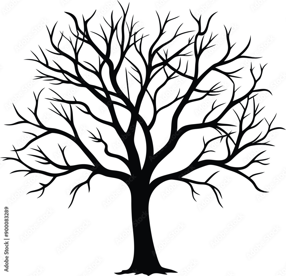 Silhouette of a bare tree Silhouette of a bare tree