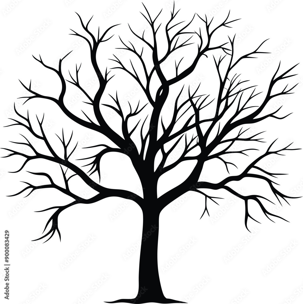 Obraz premium Silhouette of a bare tree