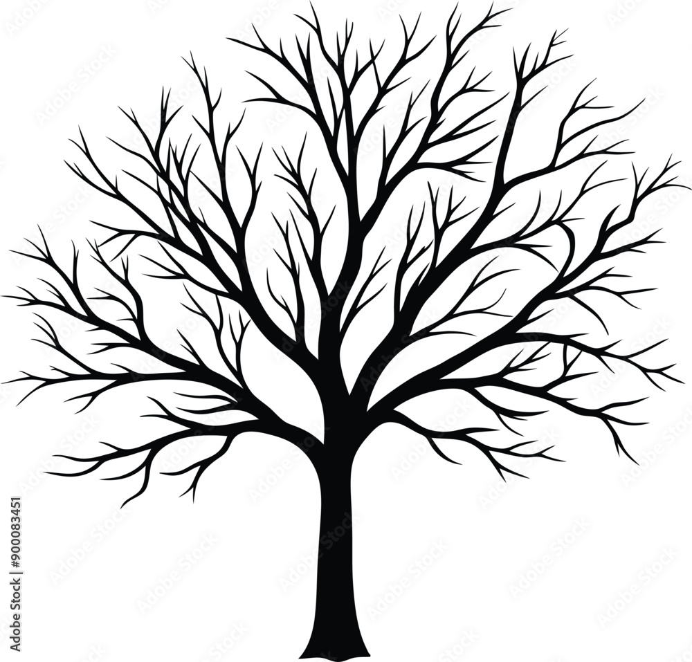 Obraz premium Silhouette of a bare tree