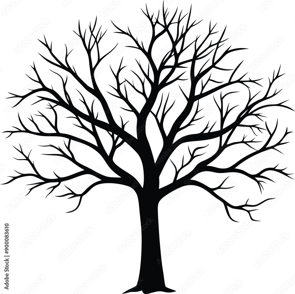 Silhouette of a bare tree Silhouette of a bare tree