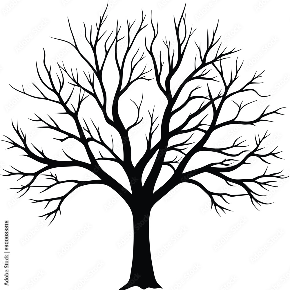 Silhouette of a bare tree Silhouette of a bare tree