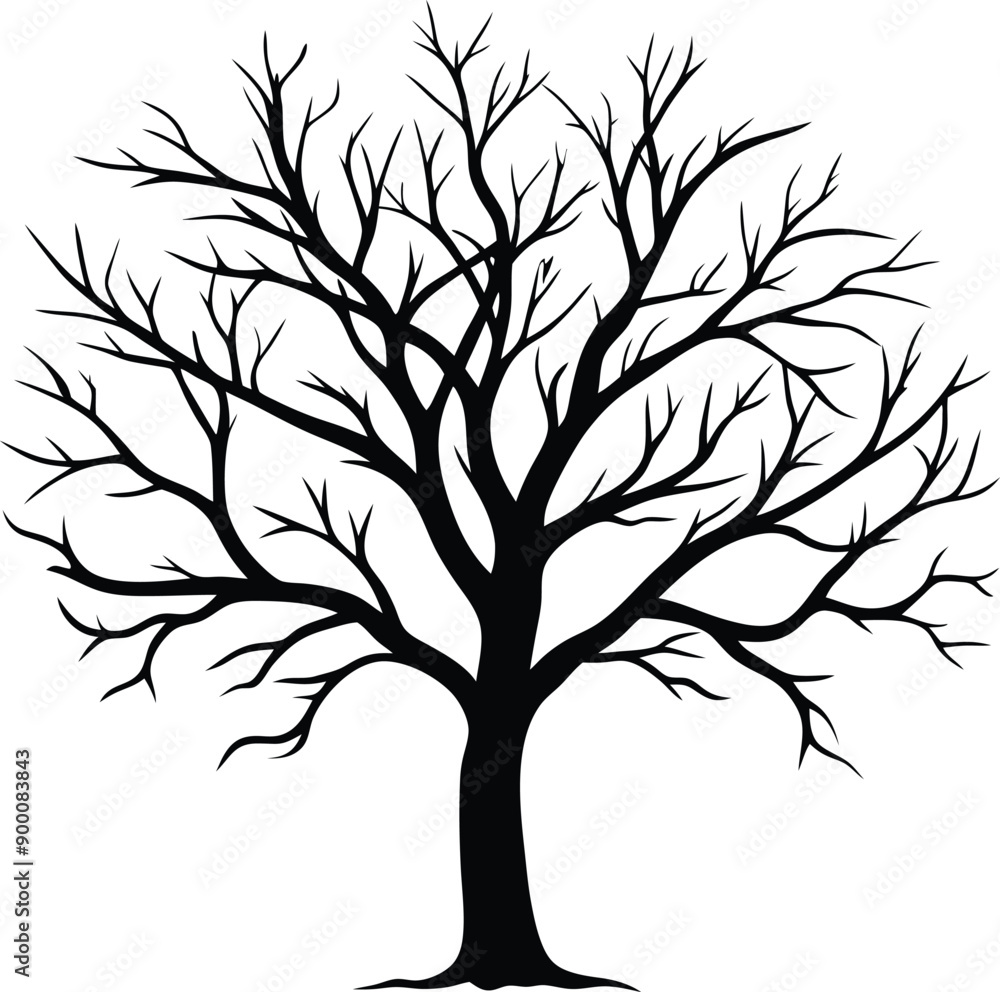 Silhouette of a bare tree Silhouette of a bare tree