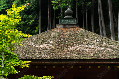 滋賀県近江八幡市の長命寺にある建物の屋根を写した写真