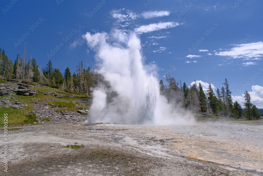 erupting Grand Geyser, in the Upper Geyser Basin of Yellowstone National Park, USA erupting Grand Geyser, in the Upper Geyser Basin of Yellowstone National Park, USA