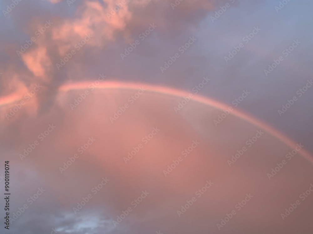 Fototapeta premium rainbow in the sky