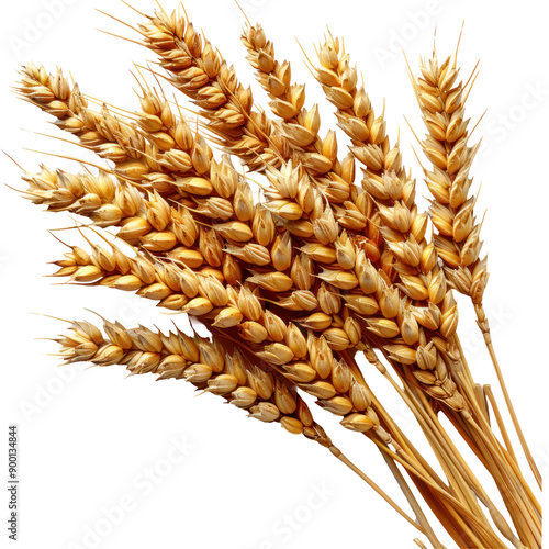 Golden Wheat Bunch with Grain Stalks