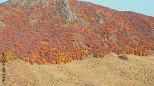 Aerial view of colorful forests and small towns in Arshan, Daxinganling in autumn photo