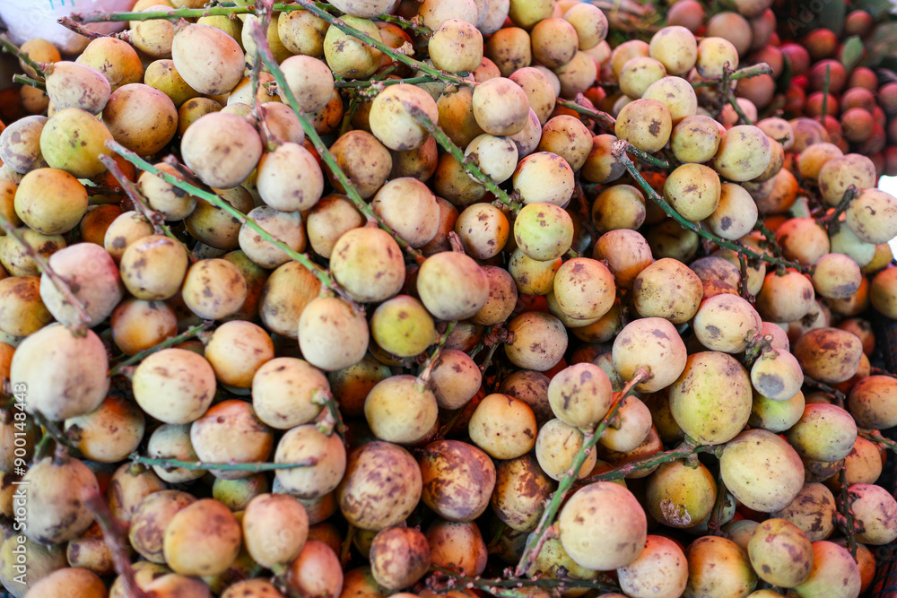 A close up photo of plongan fruit pile, a tropical fruit with a sweet, juicy taste. Close Up of Longan Fruit texture material background at local market. A close up photo of plongan fruit pile, a tropical fruit with a sweet, juicy taste. Close Up of Longan Fruit texture material background at local market.