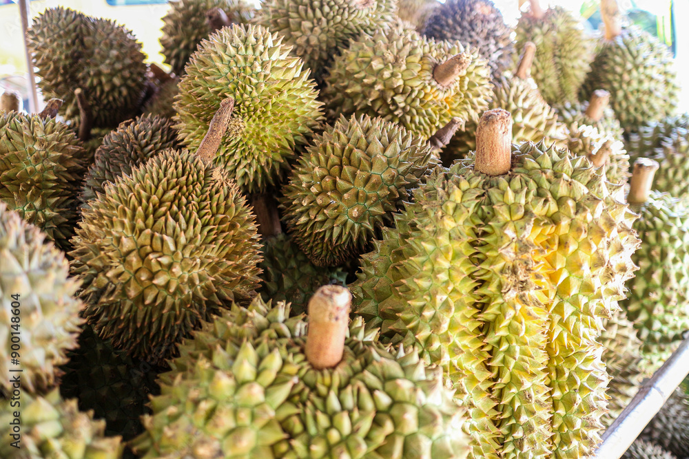 A close-up of a pile of Durian fruits, known for their spiky green exterior and pungent aroma. Close-up of Durian Fruits Background. A close-up of a pile of Durian fruits, known for their spiky green exterior and pungent aroma. Close-up of Durian Fruits Background.