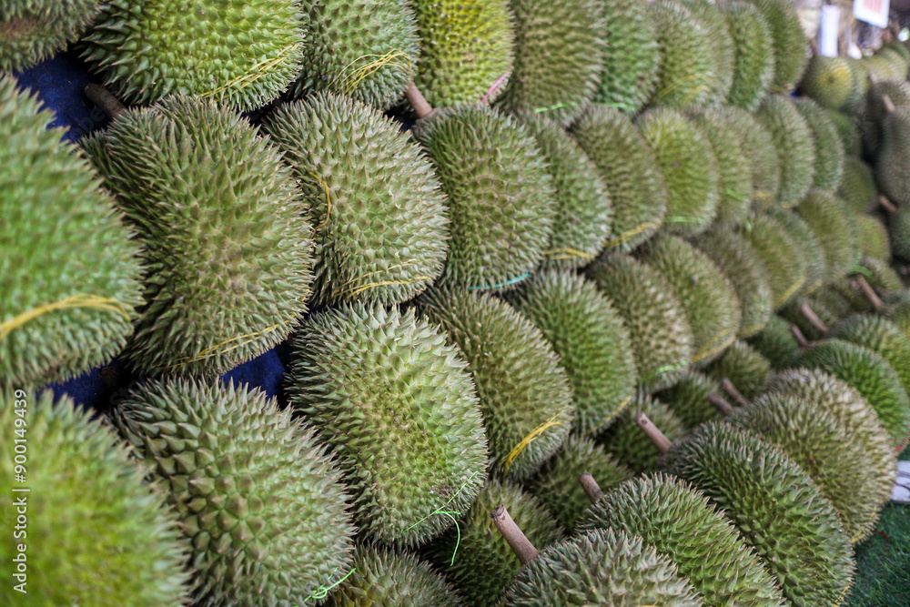 Close up photo of Ripe Durian fruits stacked in a market stall for sale. Durian Fruit display at a local market stall, Tropical Delight. Fresh durian is freshly harvested from local farmers. Close up photo of Ripe Durian fruits stacked in a market stall for sale. Durian Fruit display at a local market stall, Tropical Delight. Fresh durian is freshly harvested from local farmers.