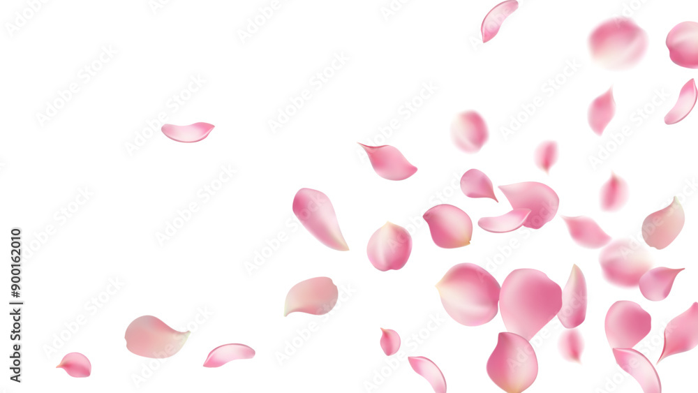 Rose petals or sakura flying petals, romantic background with realistic pink cherry flower petals flow or falling motion. Love, romance, floral spring season,cherry blossom Rose petals or sakura flying petals, romantic background with realistic pink cherry flower petals flow or falling motion. Love, romance, floral spring season,cherry blossom