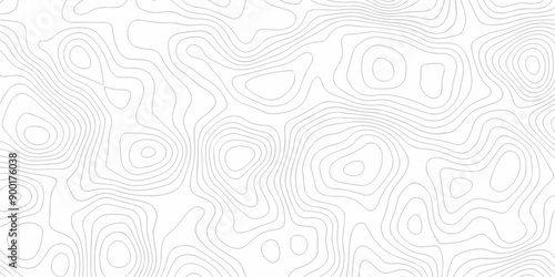 Vector white wave line geography landscape Topo contour map on white background. Geographic mountain relief diagram line wave carve pattern. Topographic world map contour lines map texture.