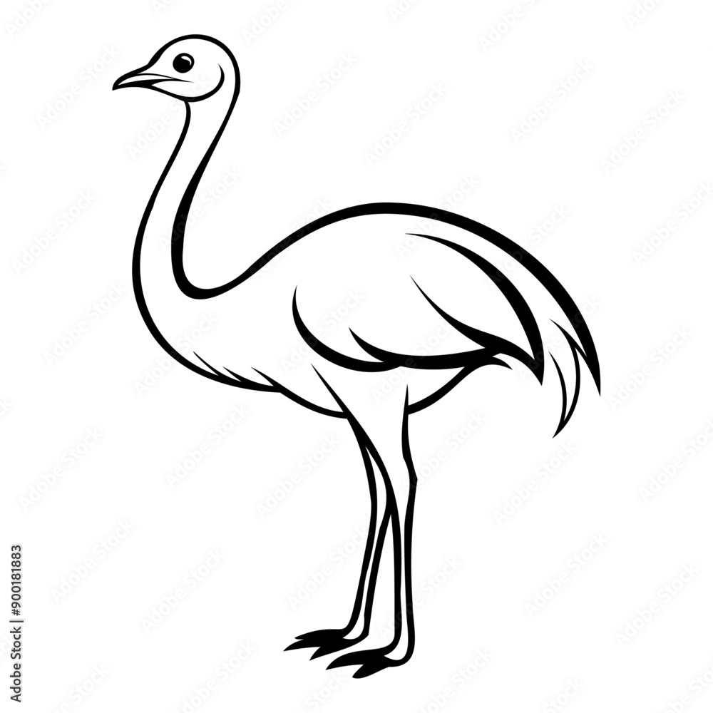 Ostrich outline line art drawing vector illustration Ostrich outline line art drawing vector illustration